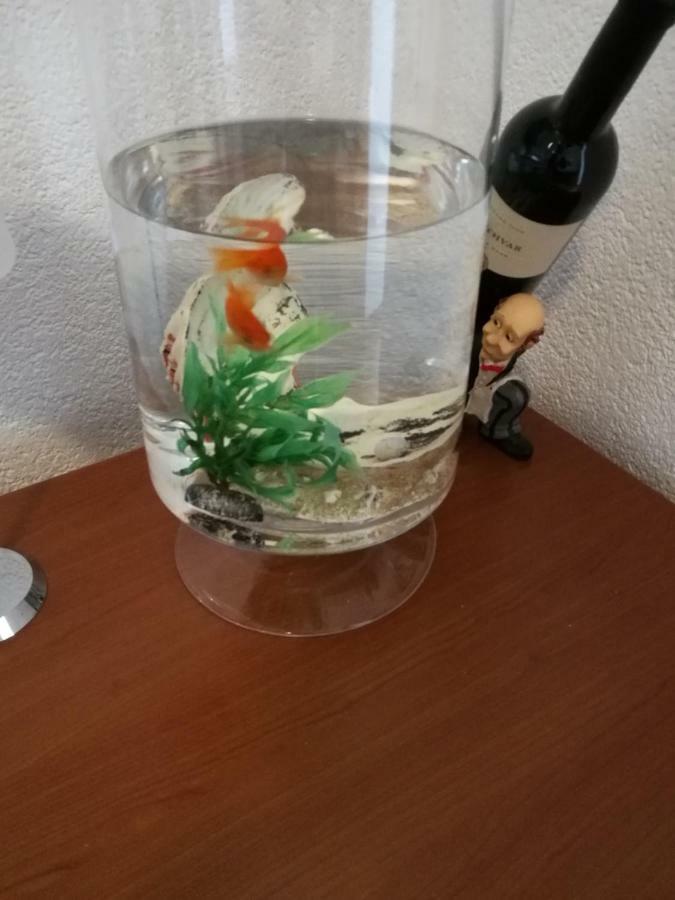 斯普利特Radun公寓 外观 照片